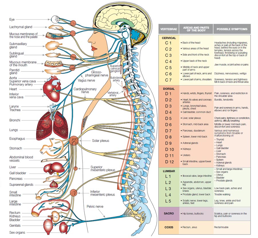 Neurobiology Physiology and Behavior – Student to Student